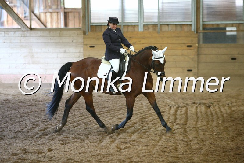 007L8978_Dressur L.JPG